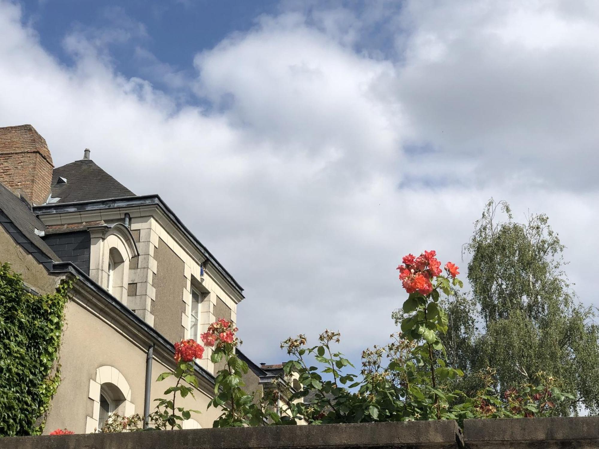 Maison Bout Du Monde Angers Hyper Centre 外观 照片